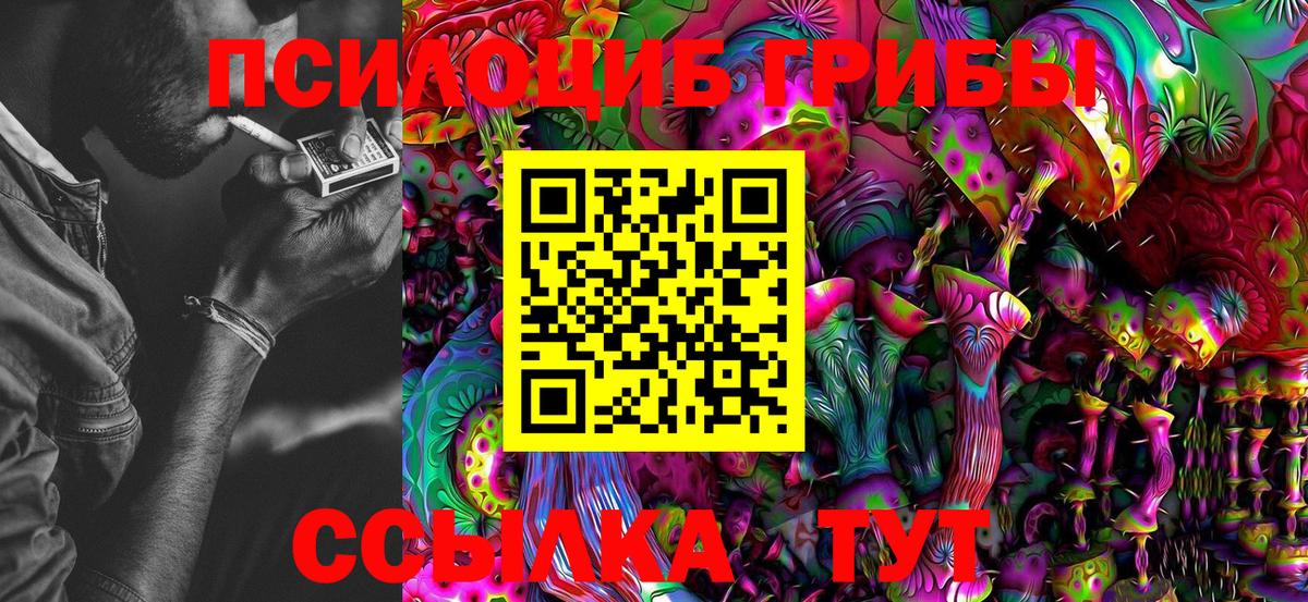 Галлюциногенные грибы Psilocybe Усинск